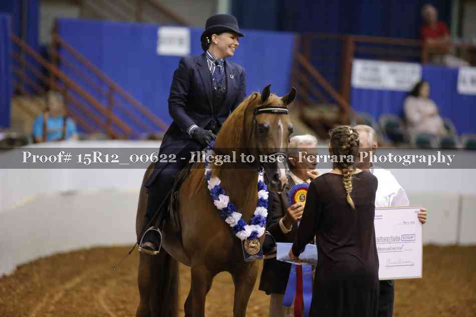 Proof Number 15R12_00622