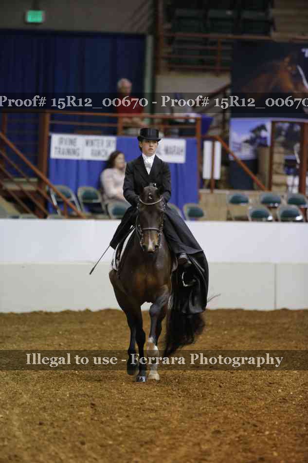 Proof Number 15R12_00670