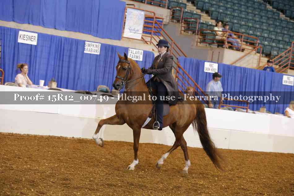 Proof Number 15R12_00749