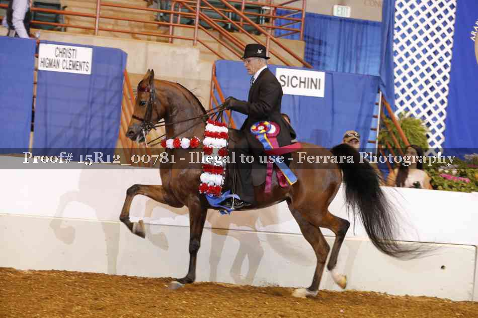 Proof Number 15R12_00781