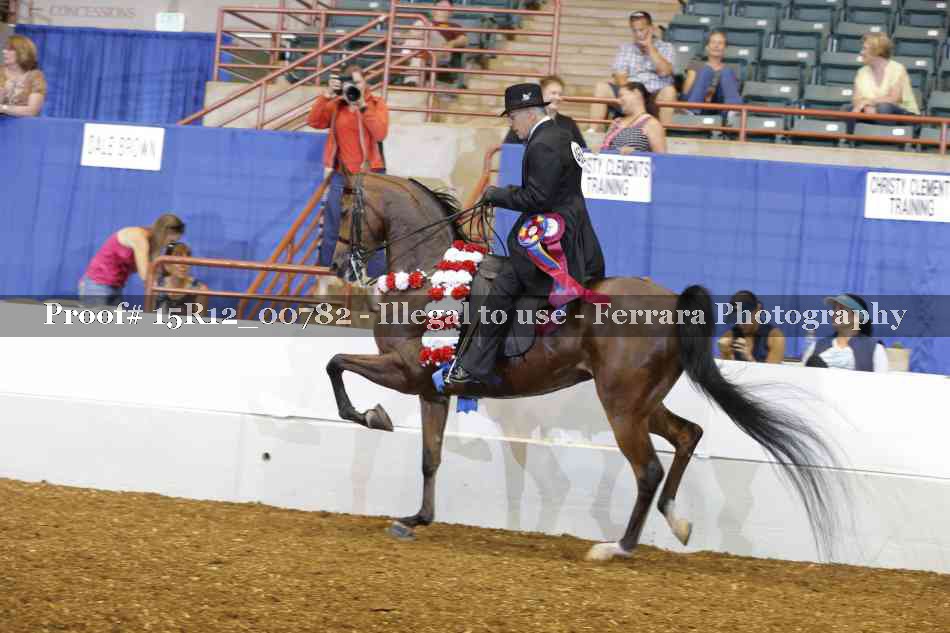 Proof Number 15R12_00782