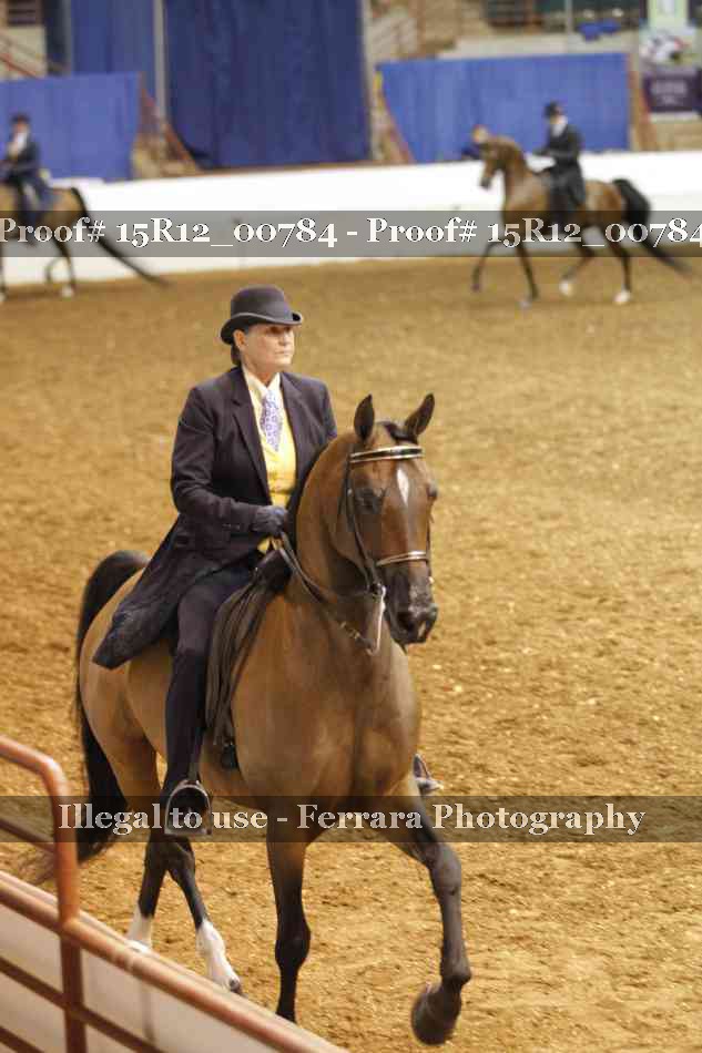 Proof Number 15R12_00784