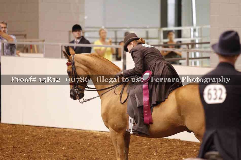 Proof Number 15R12_00786