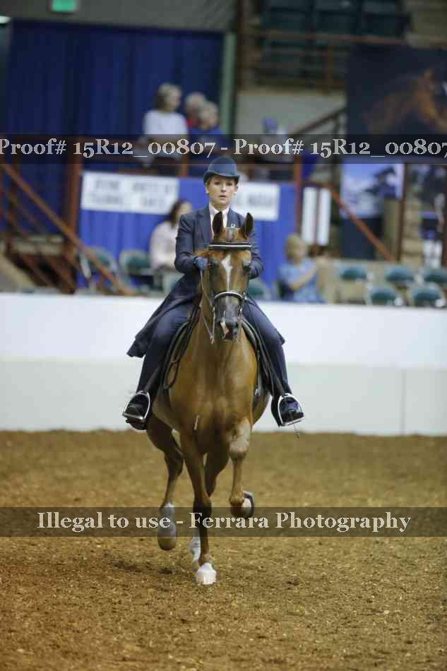 Proof Number 15R12_00807