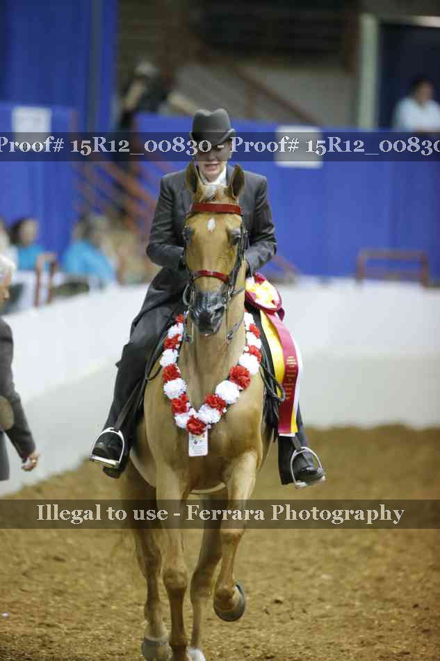 Proof Number 15R12_00830