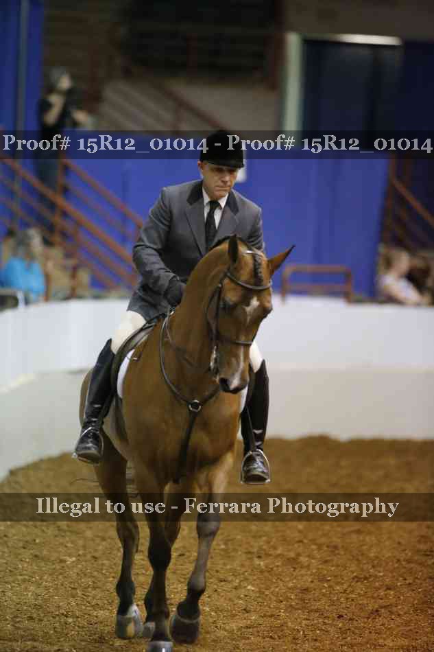 Proof Number 15R12_01014