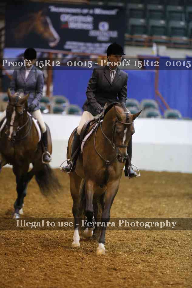 Proof Number 15R12_01015