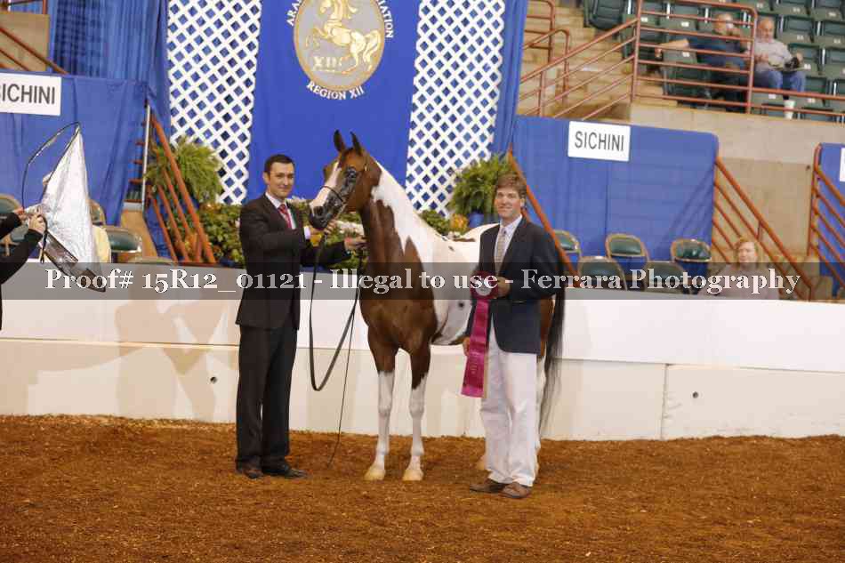 Proof Number 15R12_01121