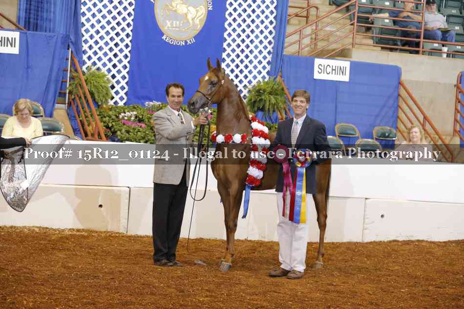 Proof Number 15R12_01124