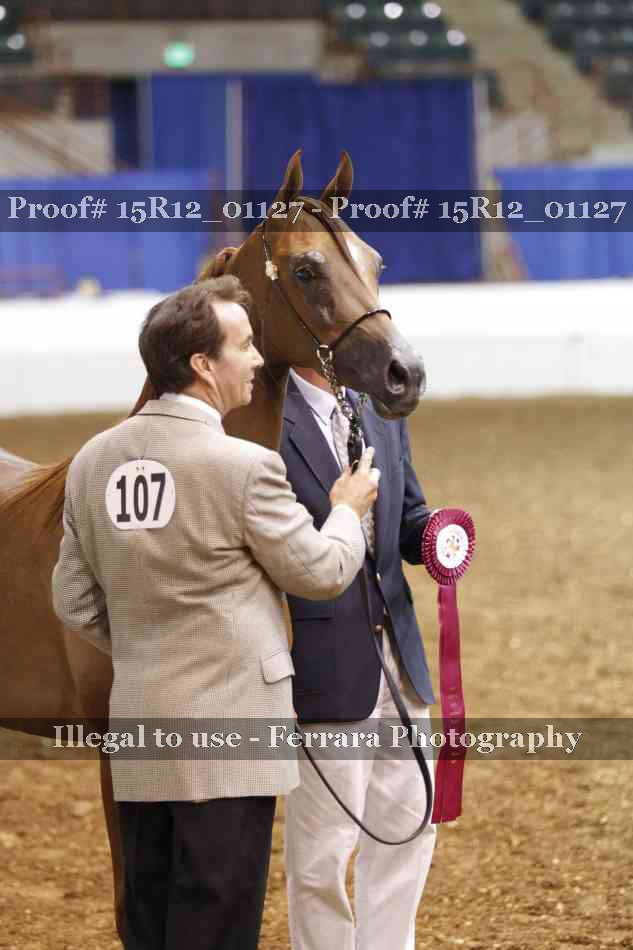 Proof Number 15R12_01127
