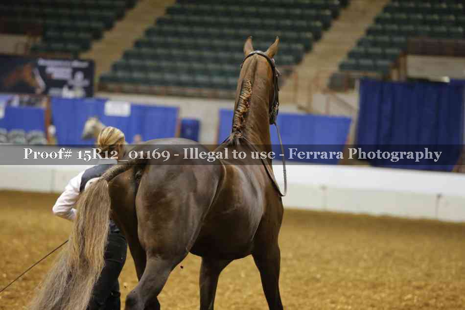 Proof Number 15R12_01169