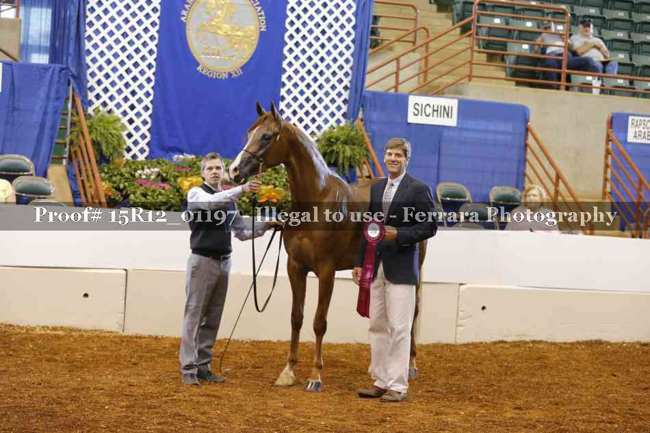 Proof Number 15R12_01197