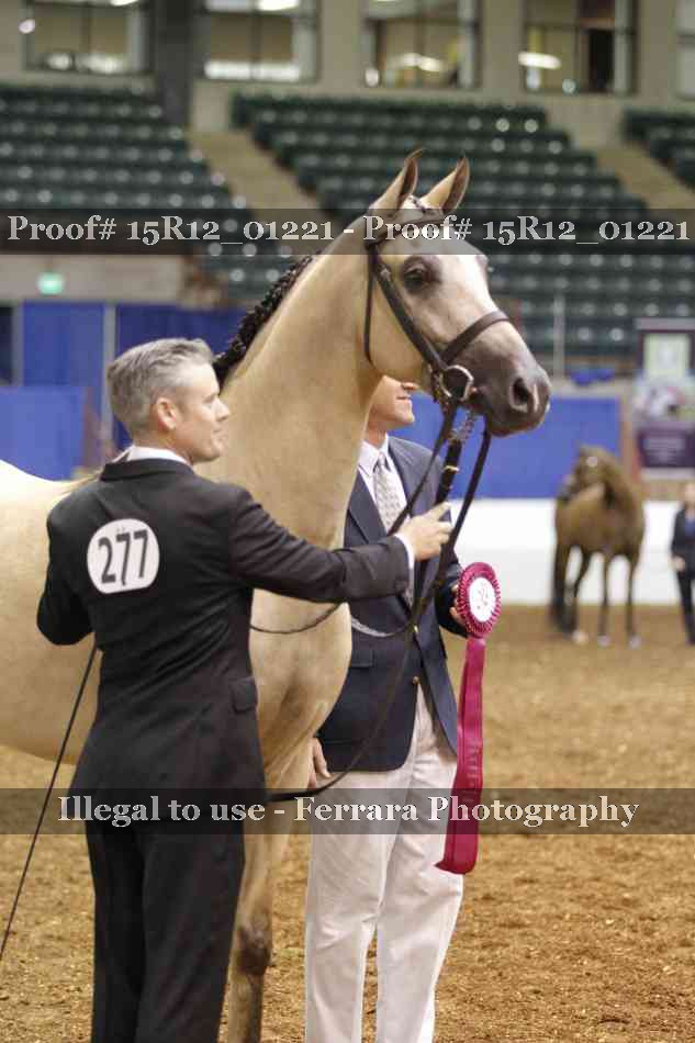 Proof Number 15R12_01221