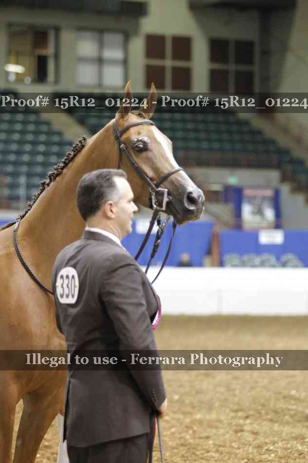 Proof Number 15R12_01224