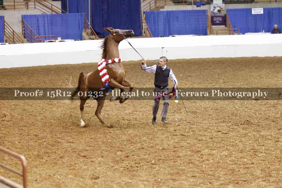 Proof Number 15R12_01232