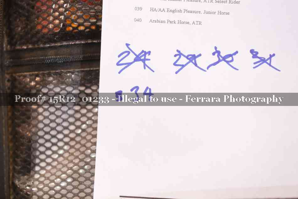 Proof Number 15R12_01233