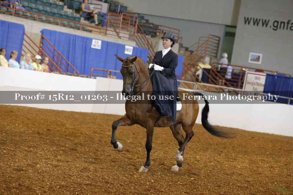 Proof Number 15R12_01263
