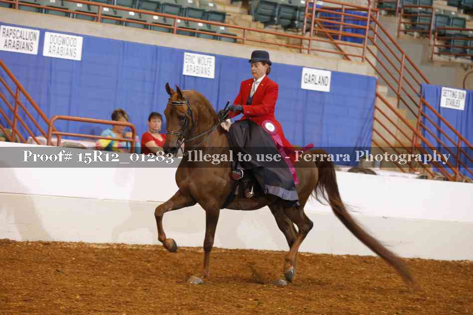 Proof Number 15R12_01283