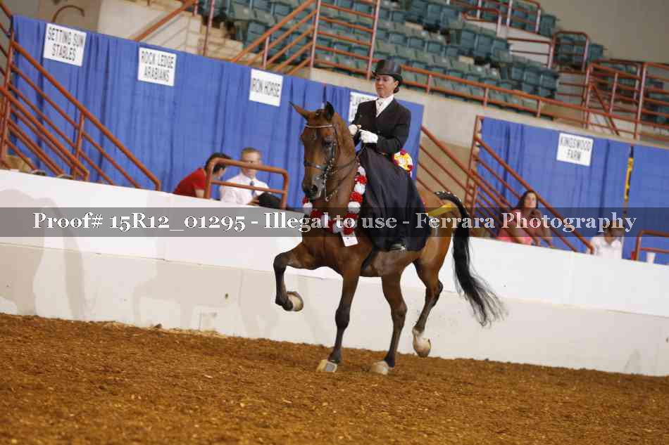 Proof Number 15R12_01295
