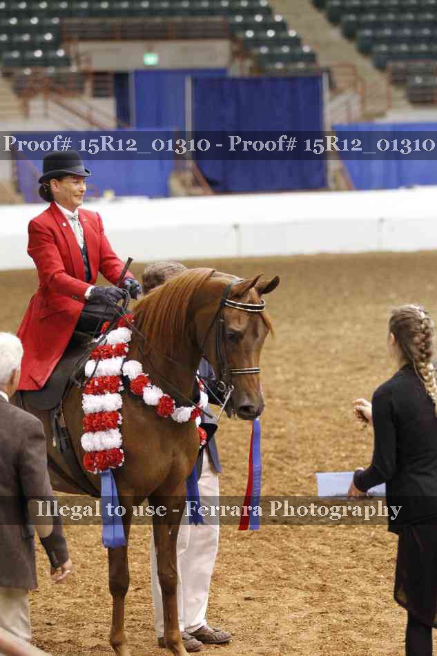 Proof Number 15R12_01310