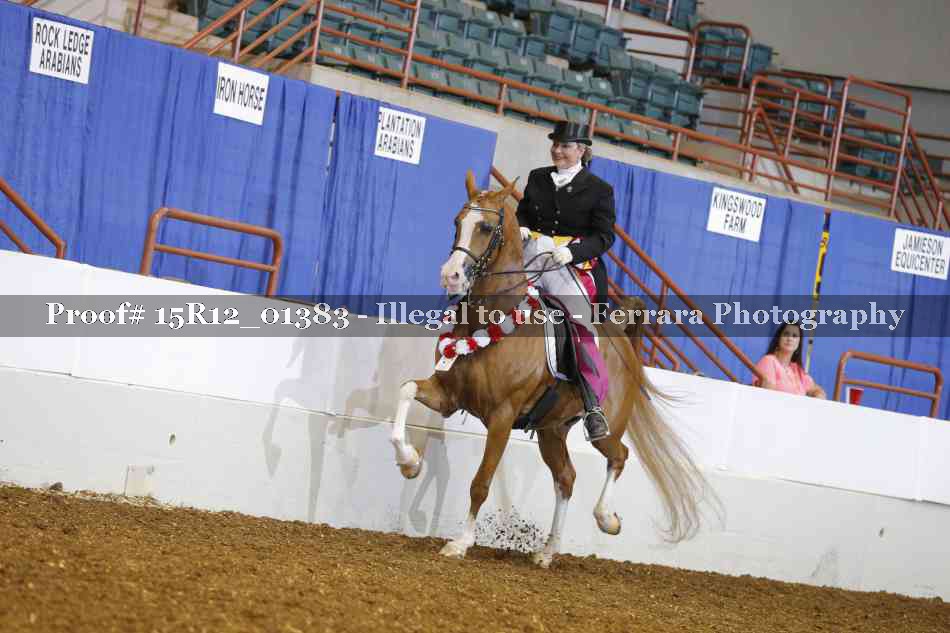 Proof Number 15R12_01383
