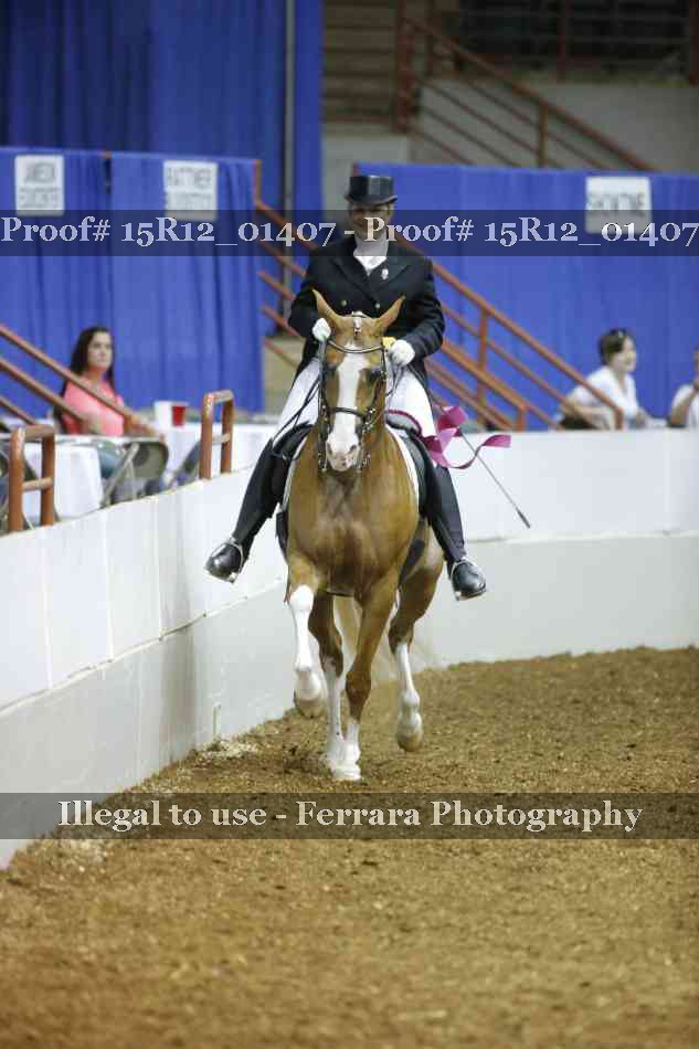 Proof Number 15R12_01407