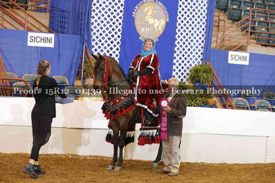 Proof Number 15R12_01439