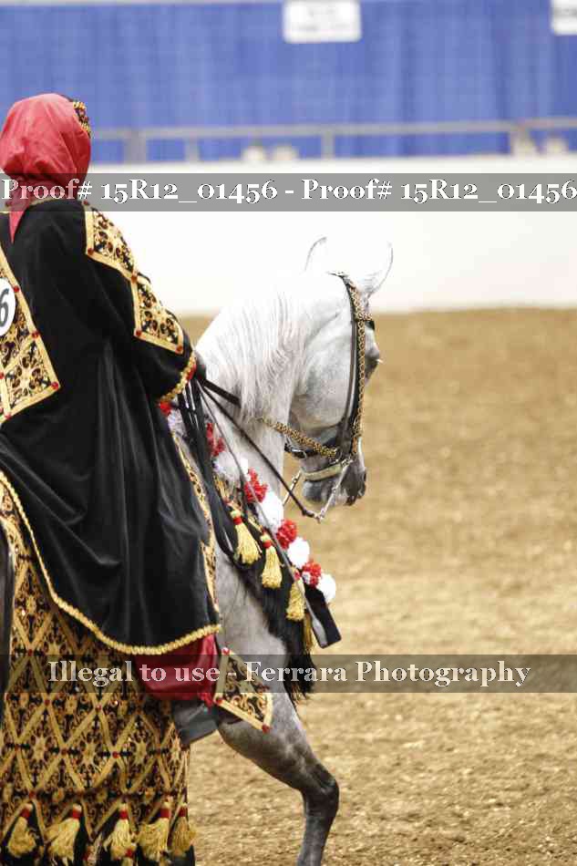 Proof Number 15R12_01456