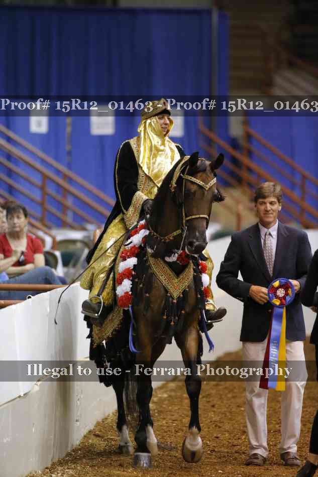 Proof Number 15R12_01463
