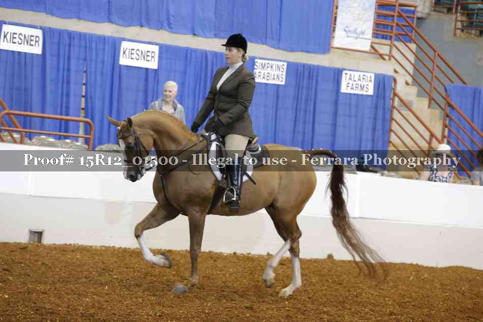 Proof Number 15R12_01500