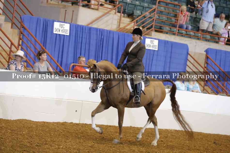 Proof Number 15R12_01510