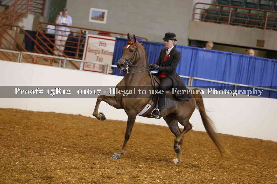 Proof Number 15R12_01617