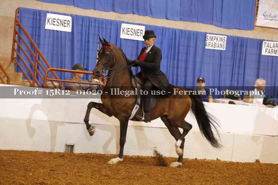 Proof Number 15R12_01620