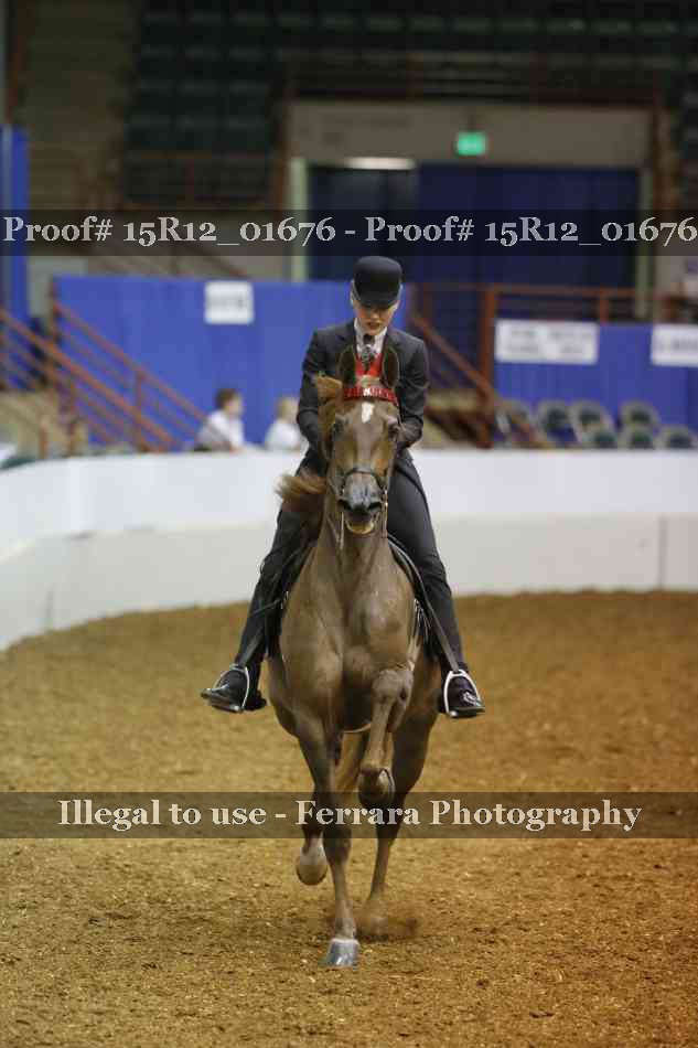 Proof Number 15R12_01676