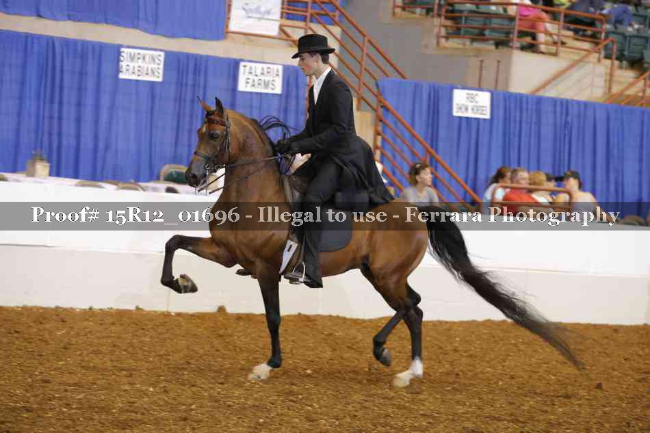 Proof Number 15R12_01696