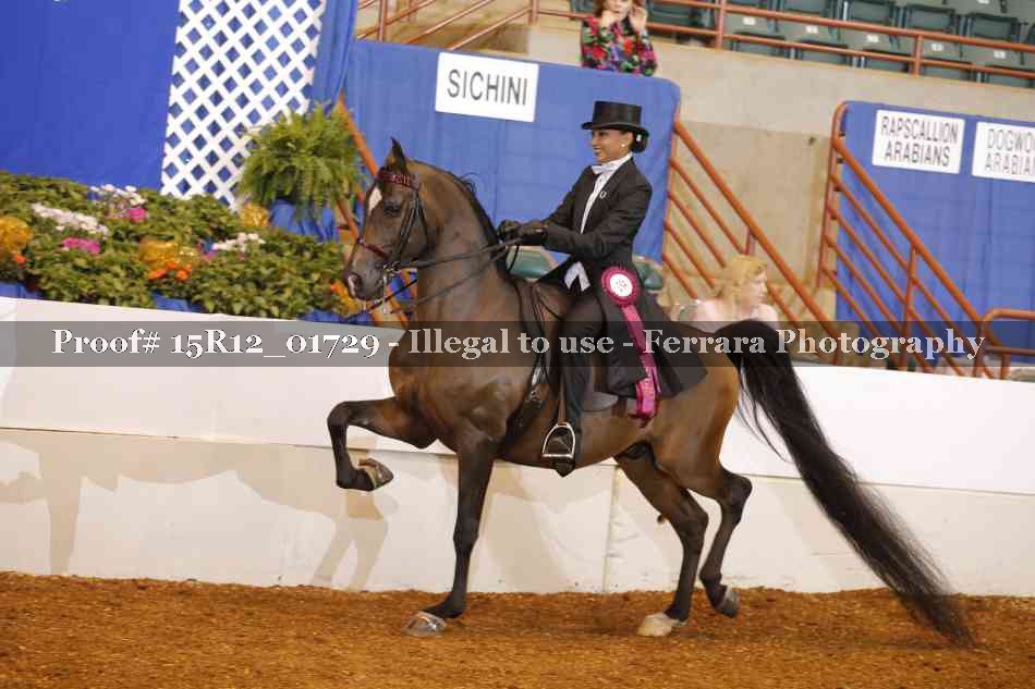 Proof Number 15R12_01729