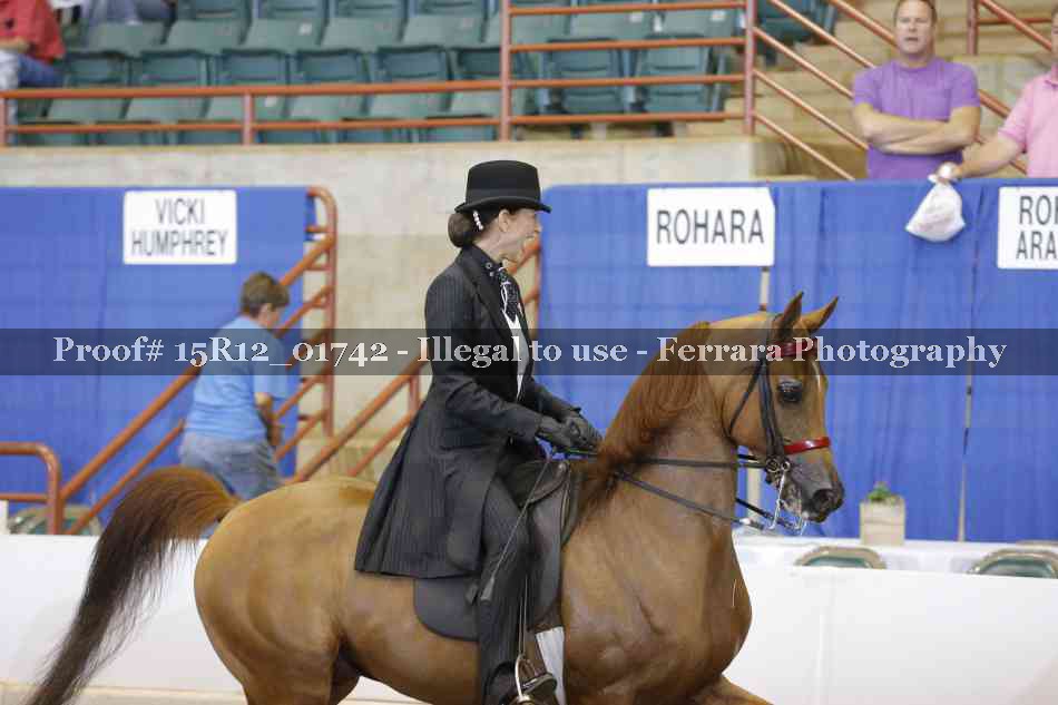Proof Number 15R12_01742