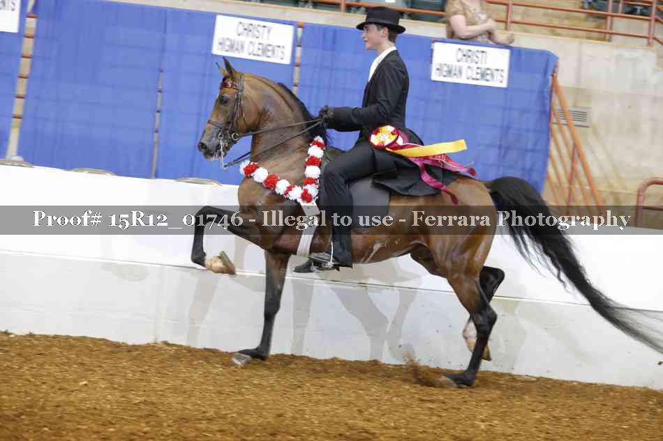 Proof Number 15R12_01746