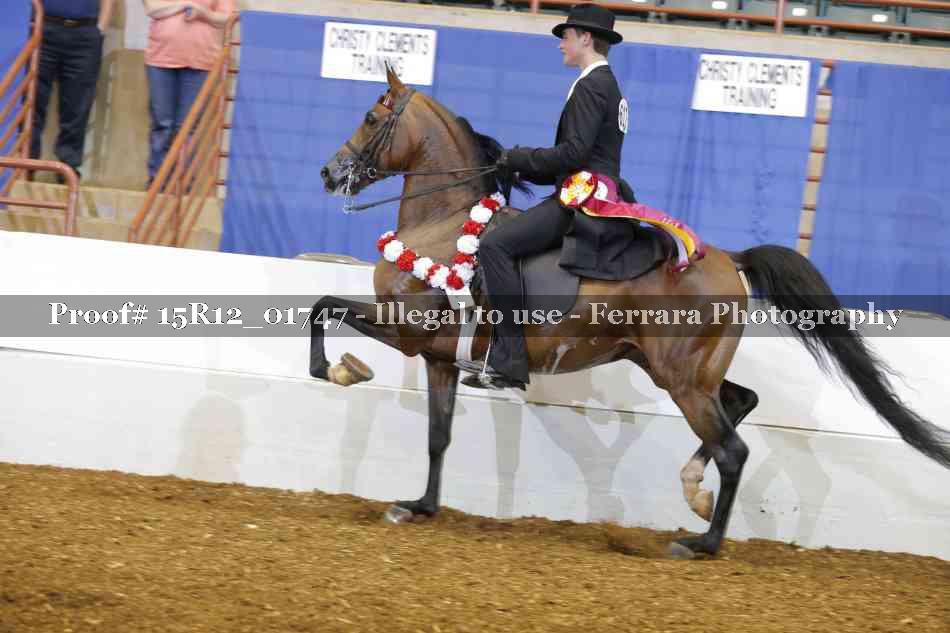 Proof Number 15R12_01747