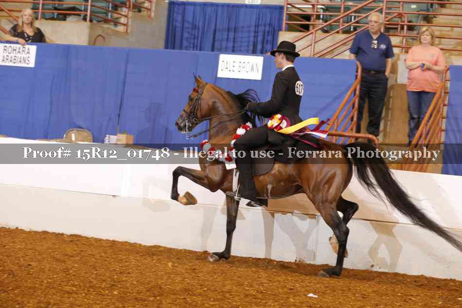 Proof Number 15R12_01748