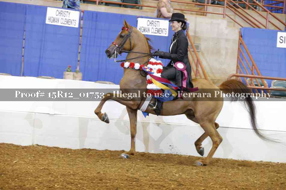 Proof Number 15R12_01753