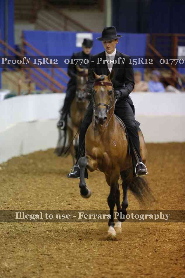 Proof Number 15R12_01770