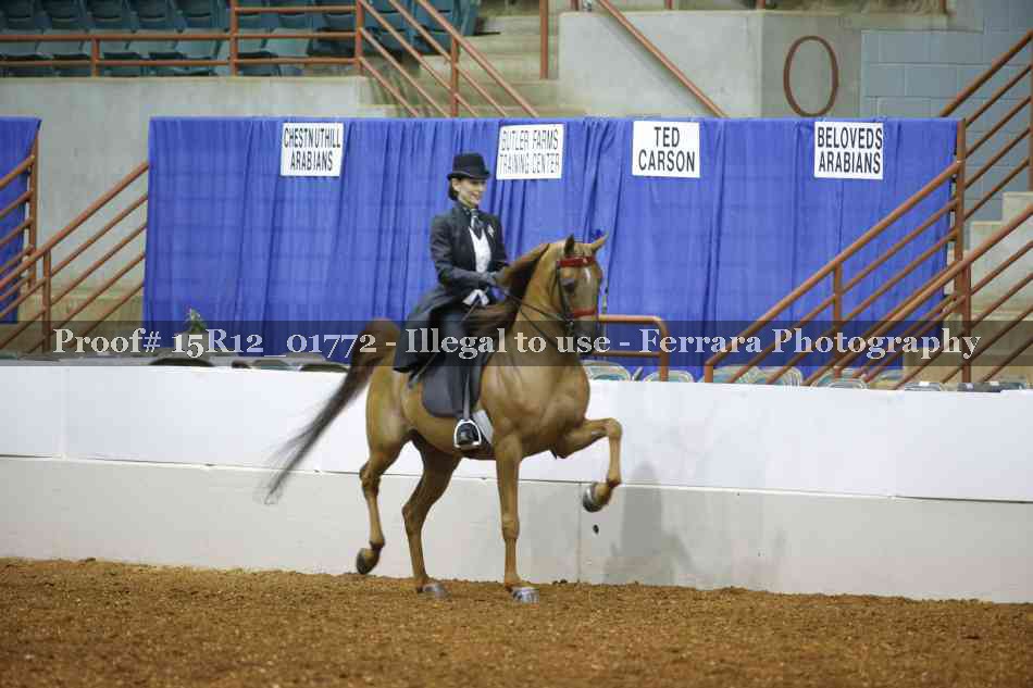 Proof Number 15R12_01772