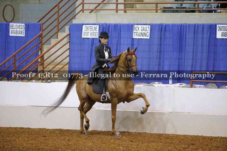 Proof Number 15R12_01773