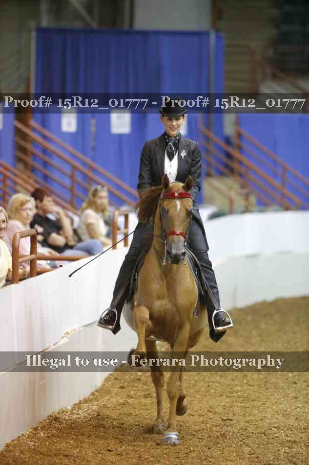 Proof Number 15R12_01777