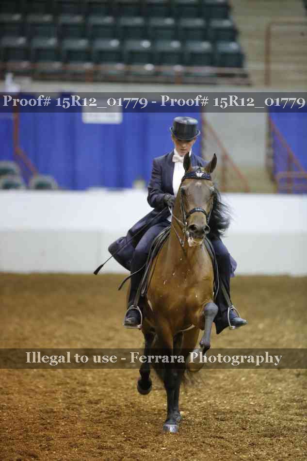 Proof Number 15R12_01779