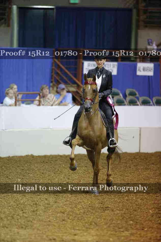 Proof Number 15R12_01780