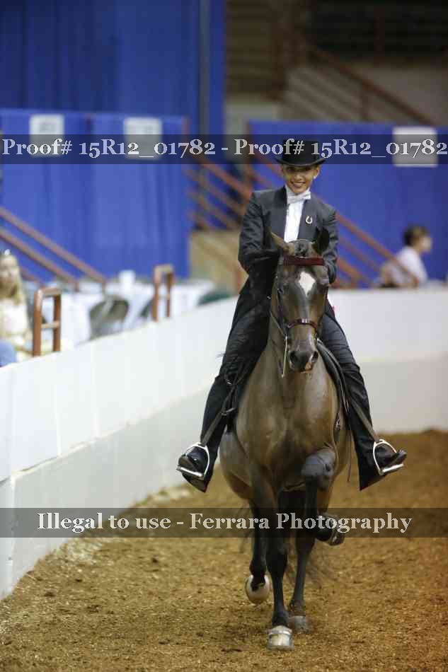 Proof Number 15R12_01782