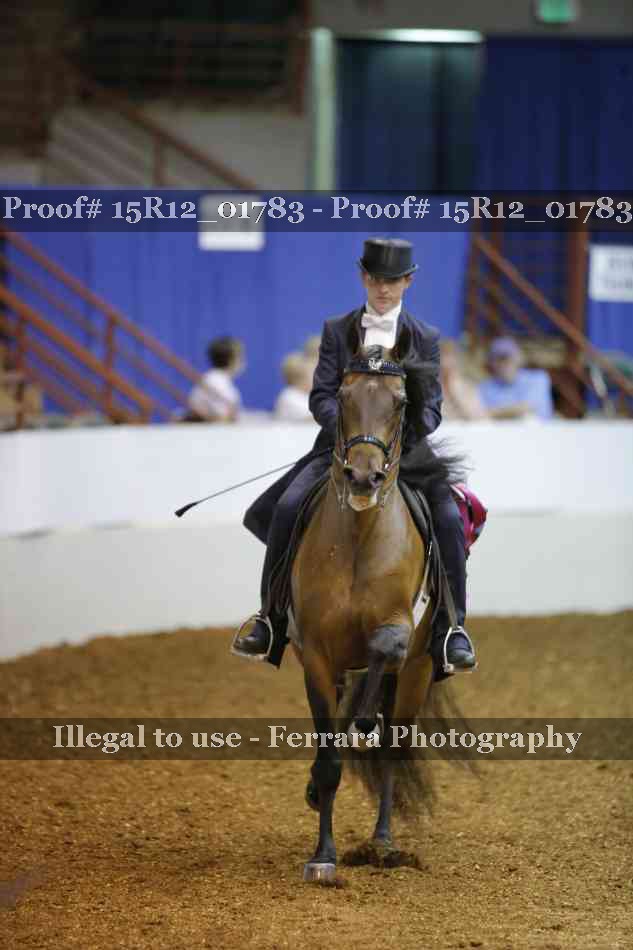 Proof Number 15R12_01783
