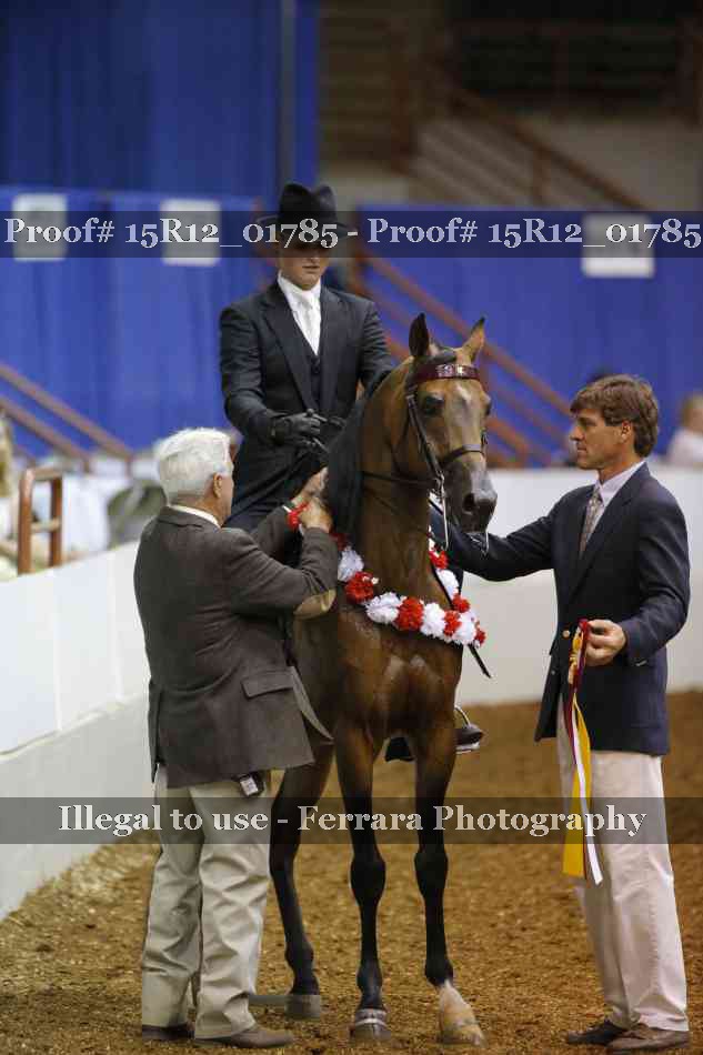 Proof Number 15R12_01785